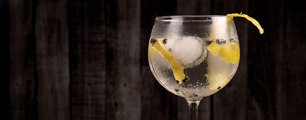 Gin Tonic Perfecto